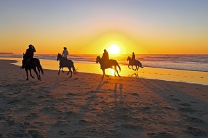 Équitation à Hurghada