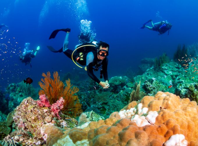 Padi open water de Sahl Hasheesh | Cours de plongée