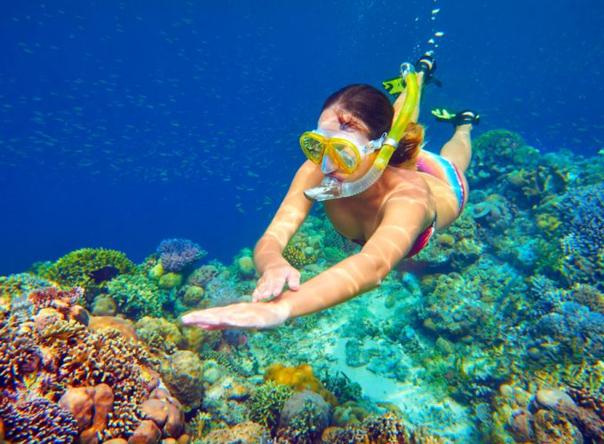 Sataya Reef Snorkeling from Marsa Alam