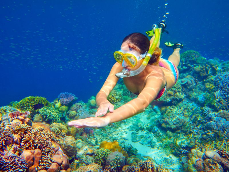 Sataya Reef Snorkeling from Marsa Alam