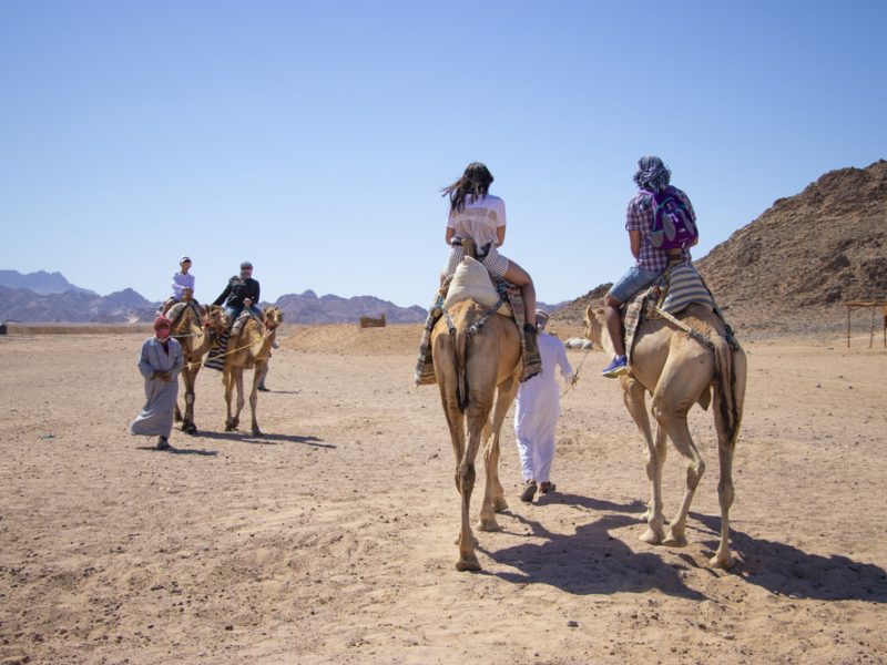 Safari en quad avec promenade à dos de chameau
