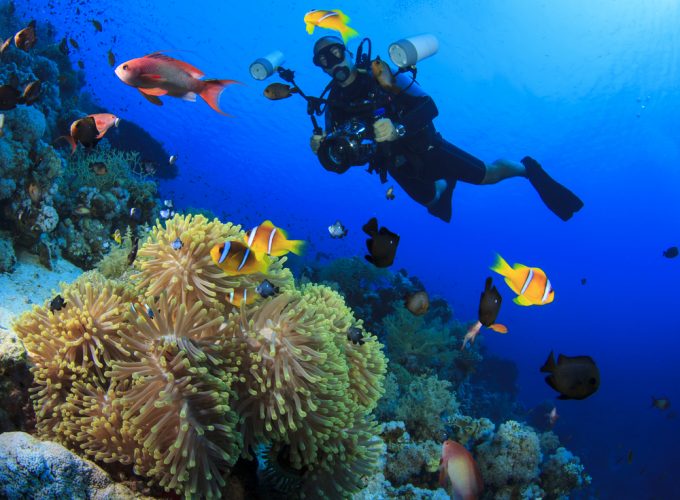 Scuba Diving Trip in Ras Mohamed from Sharm El Sheikh