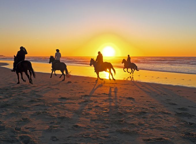 Horse Riding Hurghada