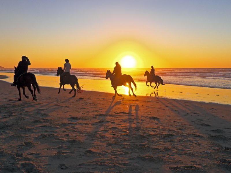Horse Riding Hurghada