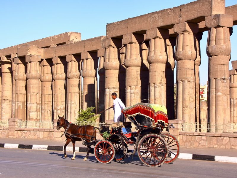 Budget Trip to Luxor from EL Gouna by Bus