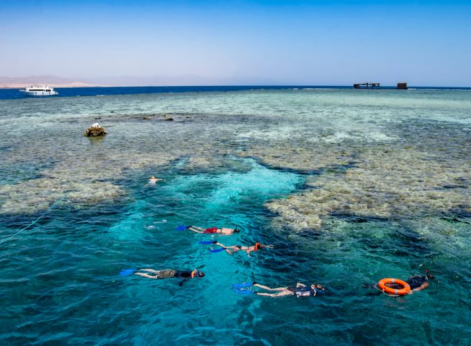 Tiran Island Snorkeling Trip from Sharm El Sheikh | Best Snorkeling Sharm El Sheikh Boat Trip