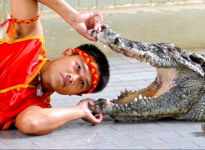 Spectacle de magie Crocodile, Copra et feux d’artifice