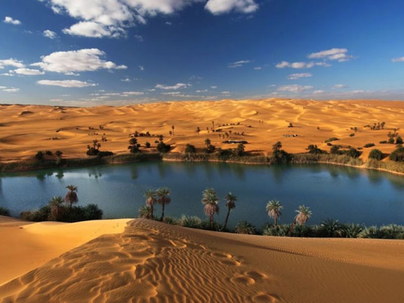 Fayoum day tour from Cairo