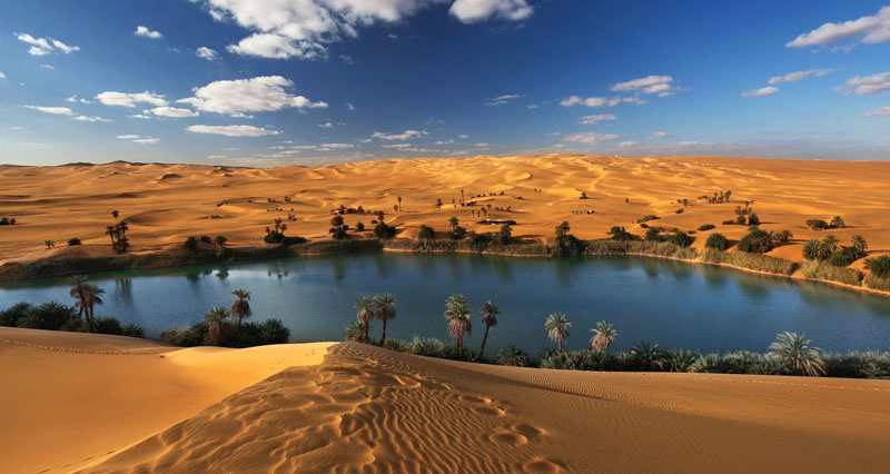Fayoum day tour from Cairo