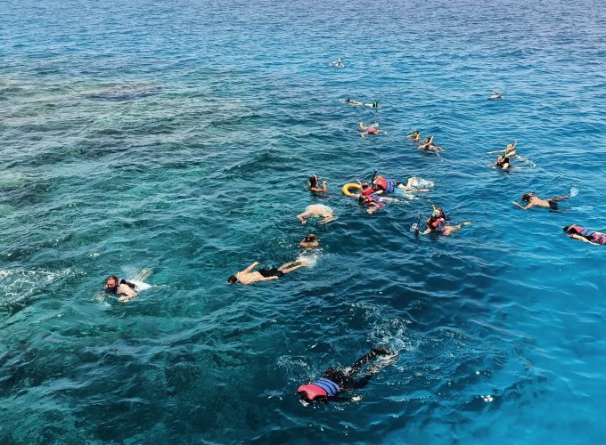 Dolphin House Trip from Sahl Hasheesh