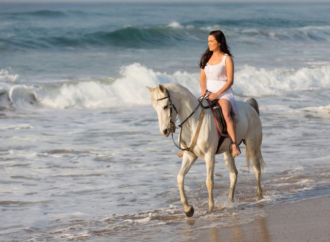 Randonnée à cheval à partir de Sahl Hasheesh Egypte