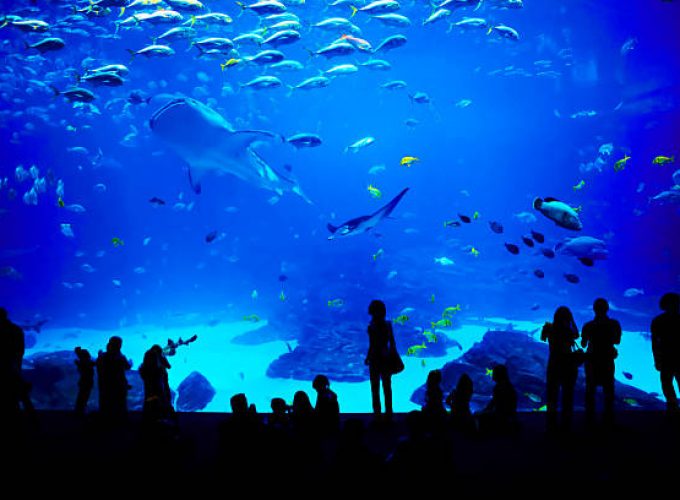 Le Grand Aquarium d’Hurghada depuis Sahl Hasheesh