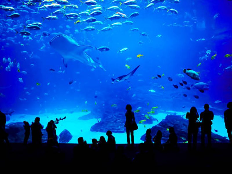 Le Grand Aquarium d’Hurghada depuis Sahl Hasheesh