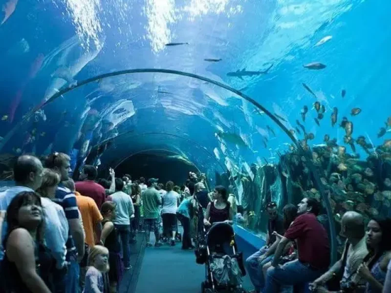 Visite du Grand Aquarium d’Hurghada | Meilleur prix de réservation