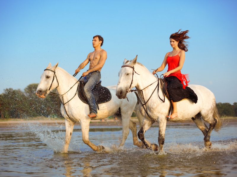 Randonnée à cheval à partir de la baie de Makadi | Randonnée à cheval à Hurghada