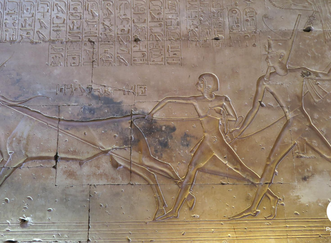 Private Day Trip to Dendera and Abydos from Hurghada