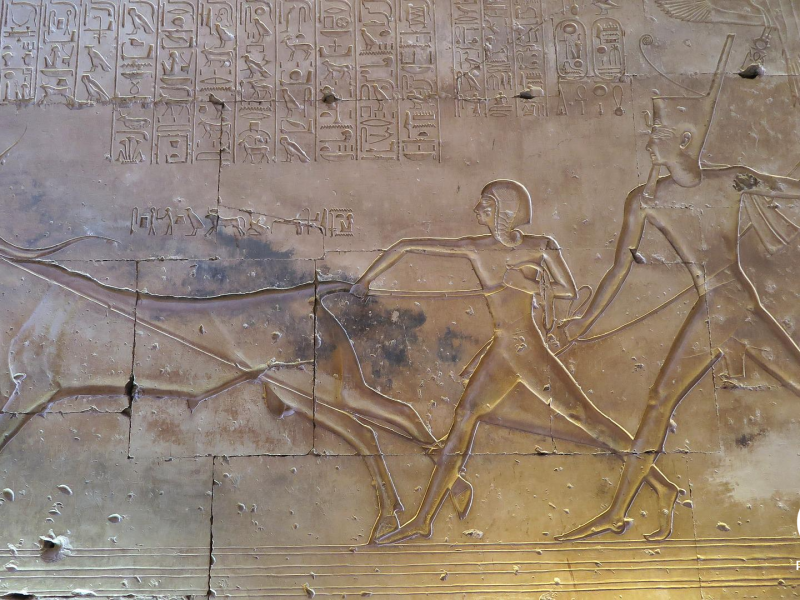 Private Day Trip to Dendera and Abydos from Hurghada