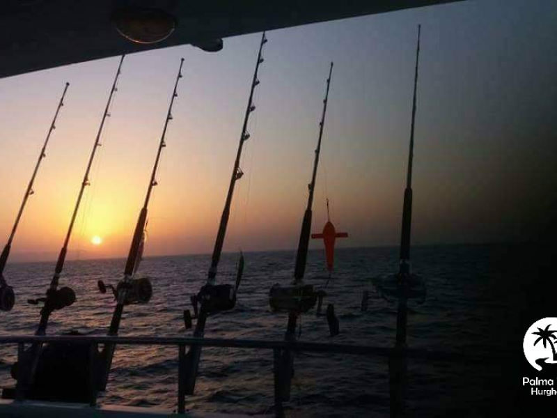 Excursion de pêche privée à partir de Sahl Hasheesh Egypte | Réservation de charters de pêche et d’excursions en bateau d’une journée entière